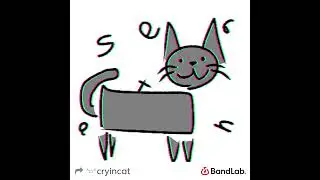 i have a weird cat and he reminds me of u - crying cat