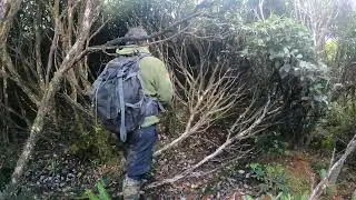 reel far gone bush