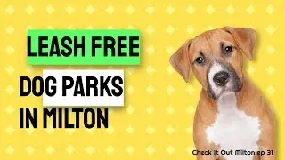 Leash Free Dog Park | Off Leash Park | Check It Out Milton ep 31
