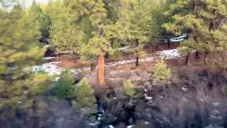 Northbound Coast Starlight between Chiloquin and Kirk at Old Korral Road 2024-12-27 #trains #amtrak
