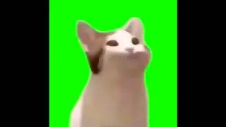 Cat Mouth Popping Noise Meme   /Green Screen
