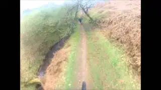 Quantock Hills, Smiths Combe