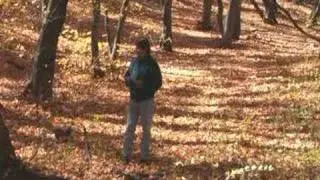 Soil Food Web - and Nature's Soil
