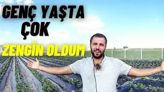 KİMYASAL OLMADAN ÇİLEK ÜRETİMİ YAPILABİLİR Mİ? - ÇİLEK ÜRETİMİ