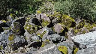 Waterfall Bigfoot Clan Supernatural Beings. Rockwork & Fawn, Mumma, Big spread here @ Waterfall Clan