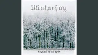 Into the Blizzard