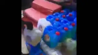 #fuelscarcity. Fuel shared as souvenir during wedding celebration in Lagos. #shorts