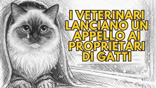I veterinari implorano i proprietari di gatti di smettere di fare questo errore mortale in inverno