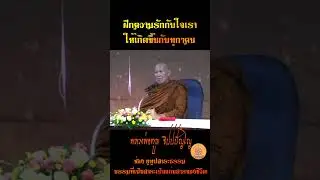 ฝึกความรักกับใจเรา ให้เกิดขึ้นกับทุกๆคน #หลวงพ่อทูล_ขิปปปัญโญ #ธรรมะสอนใจ #ธรรมะสุขใจ #shorts