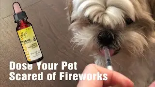 [shih tzu] Rescue Remedy for Pets - Natural Stress Relief