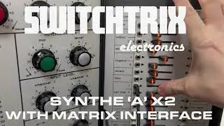 EMS SYNTHI A/SWITCHTRIX SYNTHE A x2 with matrix interface