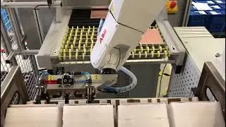 Robot pick and place feeding conveior