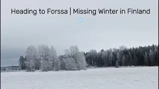 #Forssa #FinlandWinter #WinterMemories #TravelFinland