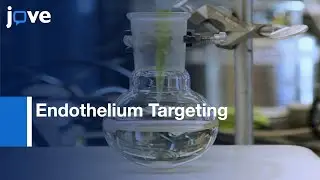 Synthesis: Functionalized 10-nm Polymer-Coated Gold Particles: Drug Delivery l Protocol Preview