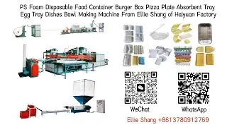 PS Foam Disposable Food Container Burger Box Pizza Plate Absorbent Tray Egg Dish Making Machine