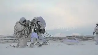 Special NATO Forces | Power Of NATO | Badges & Stripes
