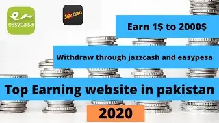 Top earning website in Pakistan in 2020