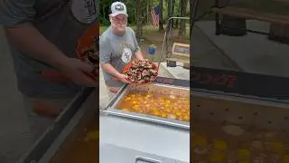 Stone crab ! Boiled crab claws ! #cooking #recipe #louisiana #foodie #crab