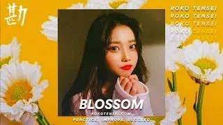 무료비트 Dpr Live x Crush Type Beat 2019 'Blossom' ラップ ビート 귀여운 비트