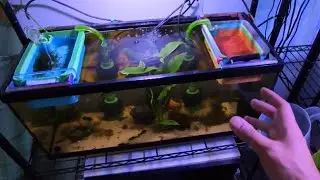 NEW FRY SYSTEM INSPIRED BY DEAN, LOWELL&rsquo;S FISH LAB & AQUARIUM CO-OP