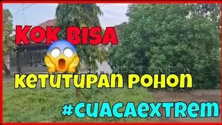 Tidak Ada Yang Tau #extreme #disaster #tree #clouds #trending sleep tree