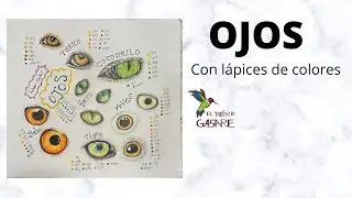 Dibuja y colorea ojos de animales con lápices de colores