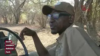 South Luangwa National Park - Documentary by Kanele 97.7 FM