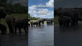 Top 10 Places to visit in Thekkady #new #trending #youtubeshorts #shorts