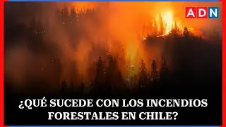 Estos son los focos de incendios forestales activos en Chile