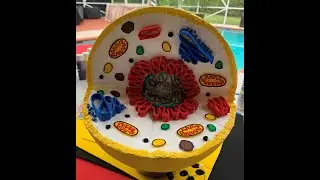 How to make a 3D Animal Cell Model - Eukaryotic