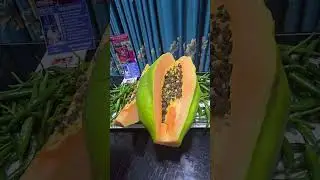 The magic behind pawpaw seeds by Brenda's 