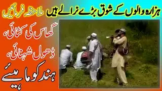 Hazara Culture || Grass Cutting || Hindko Mahiye With Dhol Shehnai