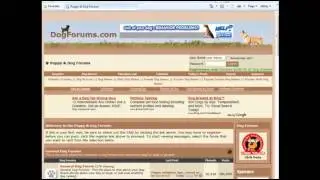 CPA Profit Secrets   Forum Marketing Secrets