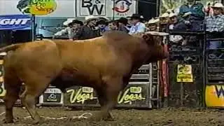 Little Yellow Jacket bucks Owen Washburn - 04 PBR Nashville