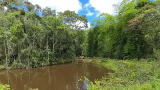 ✨️🌿 FAZENDA SÃO FRANCISCO ✨️ OPORTUNIDADE ÚNICA ABAIXOU O VALOR R$750.000.00 🌿✨️