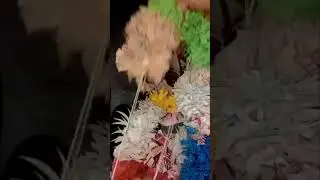 Full video of Best use of cloth bags#Final video