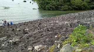 Supa Dam Back Water View Point Dandeli