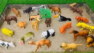 Learn Animal Names for Kids! | Sheep, Giraffe, Lion, Bear, Zebra & More Fun Animals!