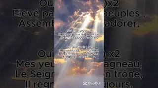Oui je le vois (Melodies Cover) #relaxingmusic #music #sunset #love