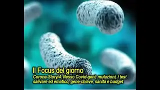 Focus: CoronaStory/4. Maggio-giugno. Geni, mutazioni, test salivare ed ematico, gene-chiave virus