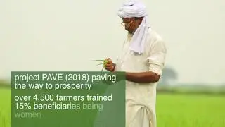 Project PAVE - Shaukat