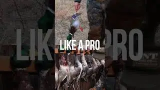 Learn to call ducks like a PRO! NEW SERIES NOW LIVE!