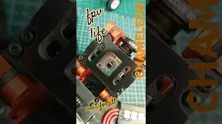 ROTORIOT CHAMELEON 5