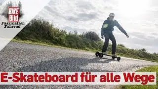 Test: Evolve Carbon GT und Bamboo GT