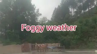 Breakfast || Cooking || walk || Beautiful , foggy weather || kashmir Village || samina arts vlogs