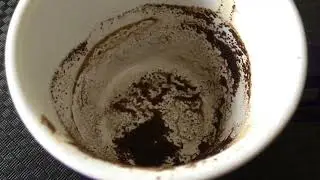 Scorpio September 22, 2025 Weekly Coffee Cup Reading by Cognitive Universe 