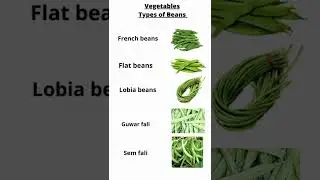Types of beans. Vegetables name.#english #learnenglish #education #shorts  #nitingoswami