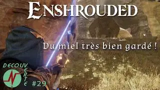 Enshrouded Fr : Ep29 : Du miel tr&egrave;s bien gard&eacute; !  #gameplayfr #gaming #enshrouded