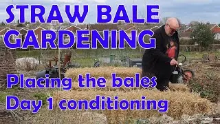 Straw Bale Gardening for Beginners &ndash; Setting Up & Day 1 Conditioning