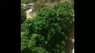 India - lockdown day (Mar 22 2020)